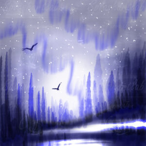 Dawn